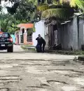 Reportan a cinco lomitos muertos, presuntamente envenenados en Tizimín