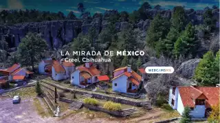 Manifestantes cierran Reforma: Sigue EN VIVO las afectaciones.