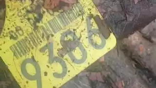 Se llevaron toda la carne, dejando solo las vísceras, el cuero y la cabeza.