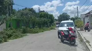 Vecinos piden mayor seguridad en trabajos de poda cerca de cables de CFE