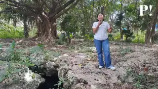 La falta de vigilancia y cuidado en dicha área para evitar su contaminación, podrá causar daños al ecosistema