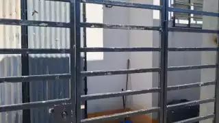 Centro de Bienestar Animal de Cancún sigue cerrado tras brote de moquillo