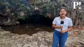 La proliferación de mosquitos en el área aumenta el riesgo de infecciones y enfermedades