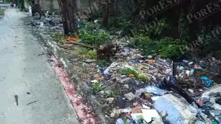 Durante meses se han ido acumulando montones de basura de todo tipo