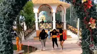 Familias y jóvenes acuden a tomarse fotografías con el árbol, el cual destaca en la ciudad