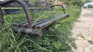 Vecinos piden limpieza urgente, especialmente tras las lluvias.