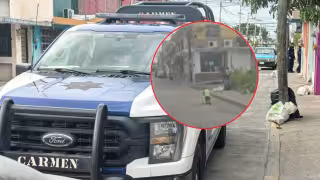 Vecinos alertaron a las autoridades por el riesgo para el pequeño.