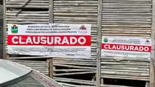 Ataque armado en Tulum: asesinan a un argentino en festival de música electrónica