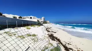 Es crucial reubicar los corrales y fortalecer las infraestructuras de protección para mitigar estos efectos