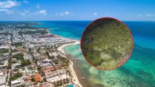 Estiman que al menos 150 de 300 cenotes presentan bacterias.