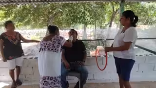 El procedimiento utiliza aire conducido desde colmenas.