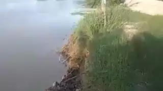 CFE omisa ante poste que amenaza con caer al río en Palizada