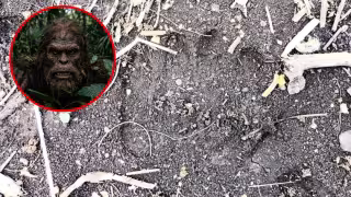 El hallazgo de una misteriosa huella en la Selva Maya de Valladolid reavivó la leyenda del Sincinito, criatura mitológica maya, que algunos pobladores del sur de Yucatán aseguran haber visto en el monte. 

El Wa’paach, cuya traducción significa “el que camina al revés”, es descrito como un ser repleto de pelo y más alto que cualquier hombre. El rastro, compartido por el usuario Guillermo Yucaminante Mayab, generó controversia.