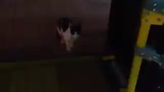 El sistema Va y Ven tiene un nuevo usuario