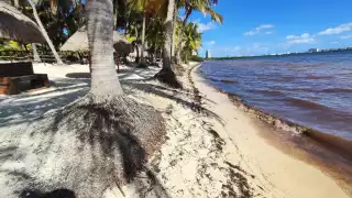Reportan pérdidas de arena por alta erosión costera en playas del Caribe Mexicano