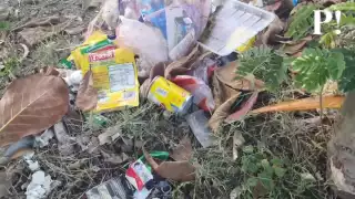 La basura acumulada es causada por los mismos vecinos de la zona o transeúntes