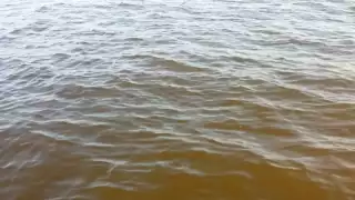 Pescadores captan presunta marea roja en la costa de Yucatán