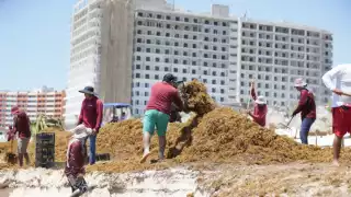 Sargazo en Playa Delfines vuelve a sorprender y decepcionar a turistas