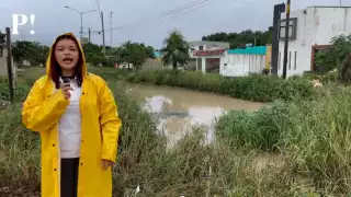 Las inundaciones han causado un brotes de mosquitos que podrían causar enfermedades