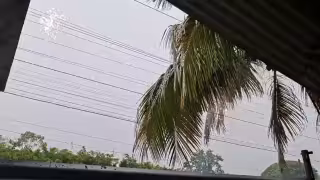 CFE omite reporte de apagón en colonia de Champotón