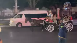 Animalistas confrontaron a un calesero durante la protesta contra el maltrato animal