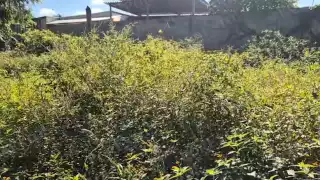 Campeche: comunidad exige topes y señalización en calle de alto riesgo