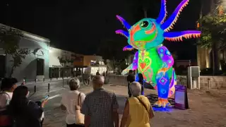 Filux “Solo la Luz”: inauguran muestra de arte lumínico en el Mérida Fest