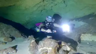 Investigadores lograron identificar fósiles de una especie de pez extinta al interior de cenotes en Yucatán