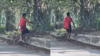 El video fue grabado por un vecino quien evidenció el momento en el que el sujeto intentaba que el reptil liberara al gato