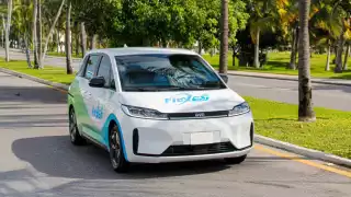 Taxistas de Flex Ecotaxi no operarán en Mérida hasta nuevo aviso