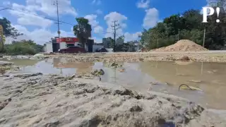 Anta la falta de mantenimiento, el agua queda estancada en diversos puntos de la zona