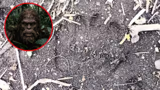 ¿Pie grande yucateco? extraña huella en la Selva Maya reaviva la leyenda del Sincinito