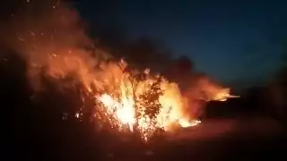 Se registró un incendio la noche del 1 de junio en la carretera estatal Isla Arena–Tankuché, en el municipio de Calkiní