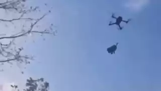 Así fue como “Osito”, un chihuahua de tres meses fue maltratado al ser amarrado a un dron en Xul-Ha