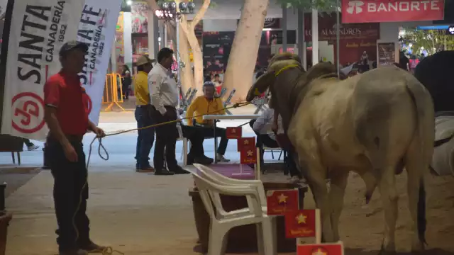 El Congreso local aprueba la nueva Ley pecuaria para fortalecer la competitividad del sector