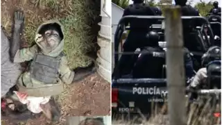 En el enfrentamiento entre un grupo del crimen organizado y elementos de la Guardia Nacional, una de las personas que murió llevaba consigo un mono araña.