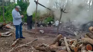 Hace unas semanas, la Guardia Nacional en conjunto con la Profepa clausuraron hornos clandestinos de carbón vegetal