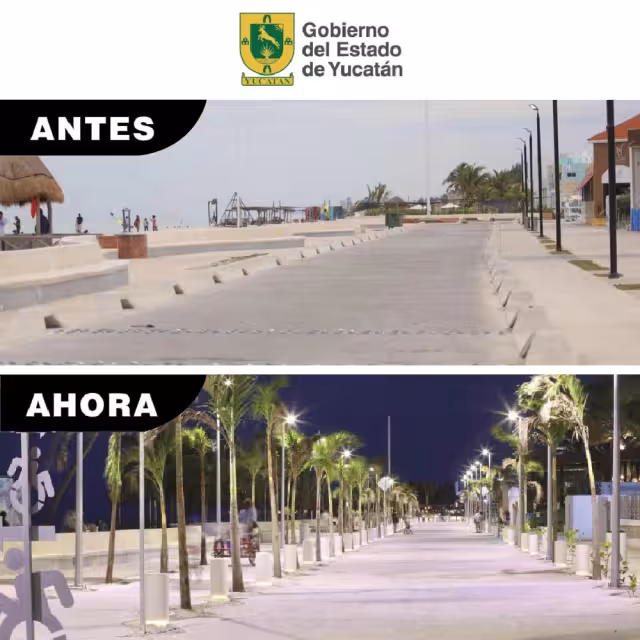 Esta etapa se concentró en la repavimentación e inserción de palmeras y luminarias