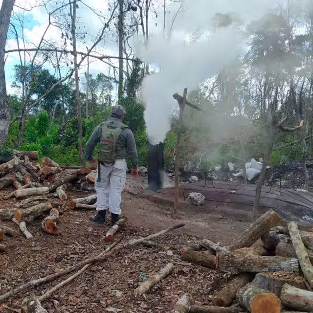 La Profepa y Guardia Nacional desmantelaron el horno cladestino