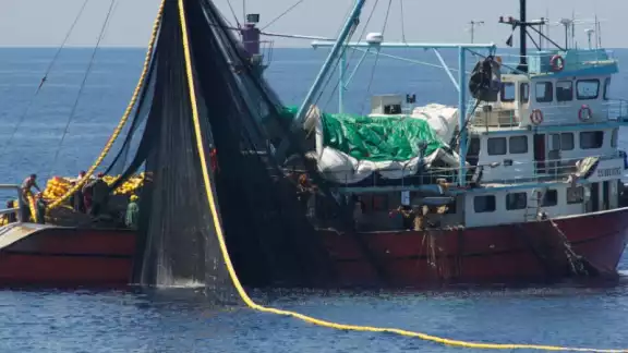 El navío fue incautado por no usar los dispositivos excluidores de tortugas en Mazatlán