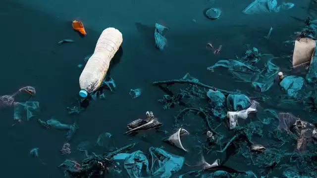 Los cuerpos de agua con más contaminantes bioquímicos son 11 ríos, cuatro lagunas y un cenote