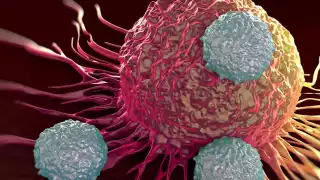 El cáncer es una de las enfermedades que causa más muertes. Foto: Especial