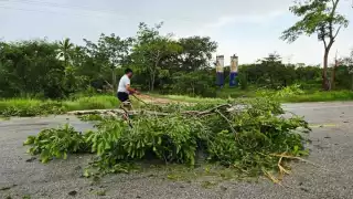 Una turbonada derribó varios árboles sobre la carretera federal Escárcega-Villahermosa, en la zona de Vista Alegre, Carmen.