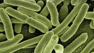 Cuando la bacteria infecta una herida o una zona quirúrgica pueden aparecer dolor, inflamación, enrojecimiento o secreciones