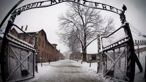 Todos los años, el 27 de enero, gente alrededor del mundo se congrega para el Día Internacional de Conmemoración del Holocausto. Todos los años, el 27 de enero, gente alrededor del mundo se congrega para el Día Internacional de Conmemoración del Holocausto.
