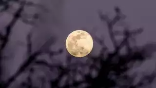 Este domingo se espera la primera superluna del año
