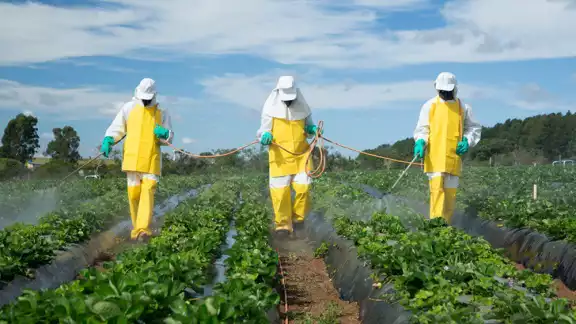 México se considera 16 plaguicidas peligrosos
