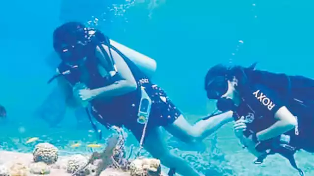 Han realizado más de 20 inmersiones para salvar el coral