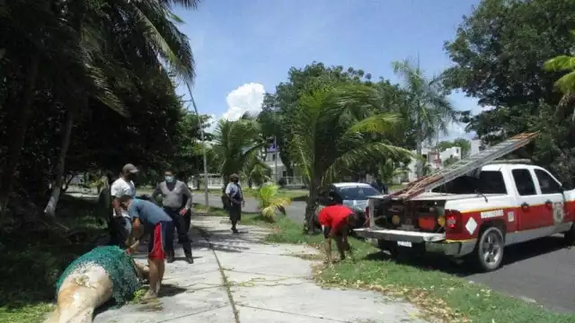 Foto: Abraham Cohuó