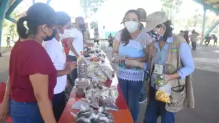 El objetivo de este programa es fomentar el intercambio y la venta de productos obtenidos en las parcelas